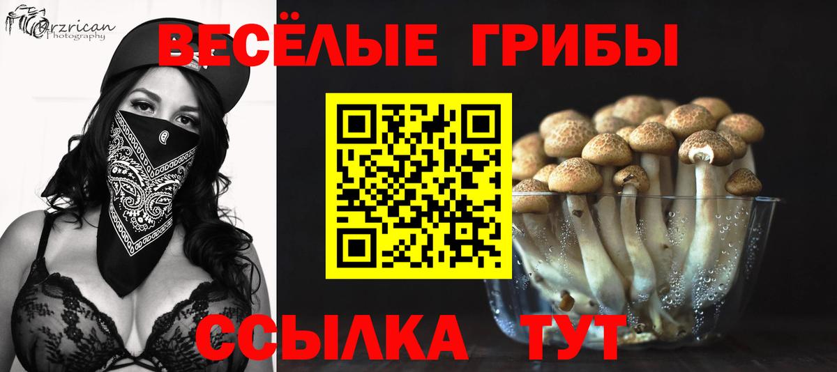 Елизово  Галлюциногенные грибы Cubensis  купить  сайты  Вход с VPN 